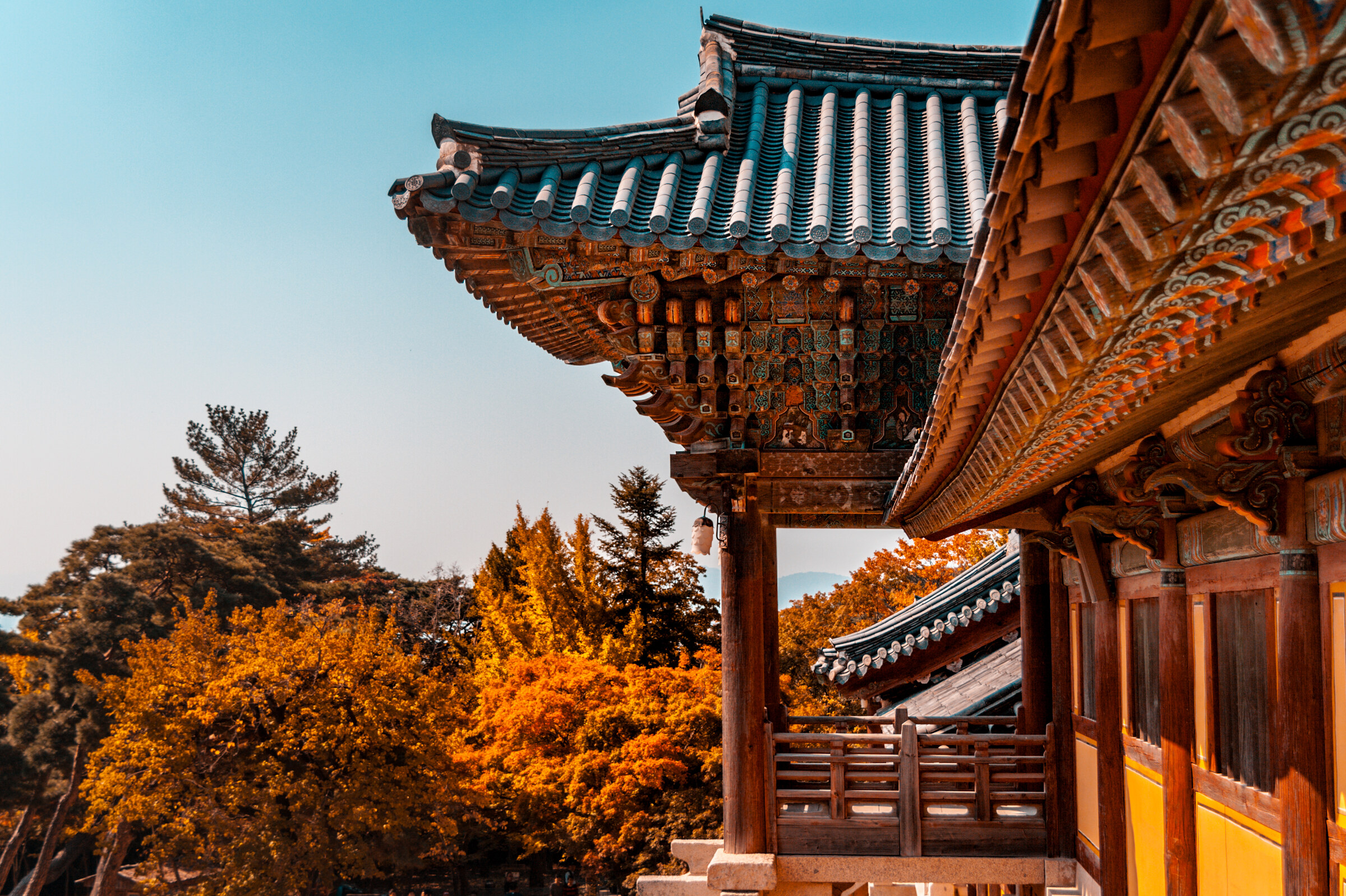 Gyeongju's serene autumn temple scenery